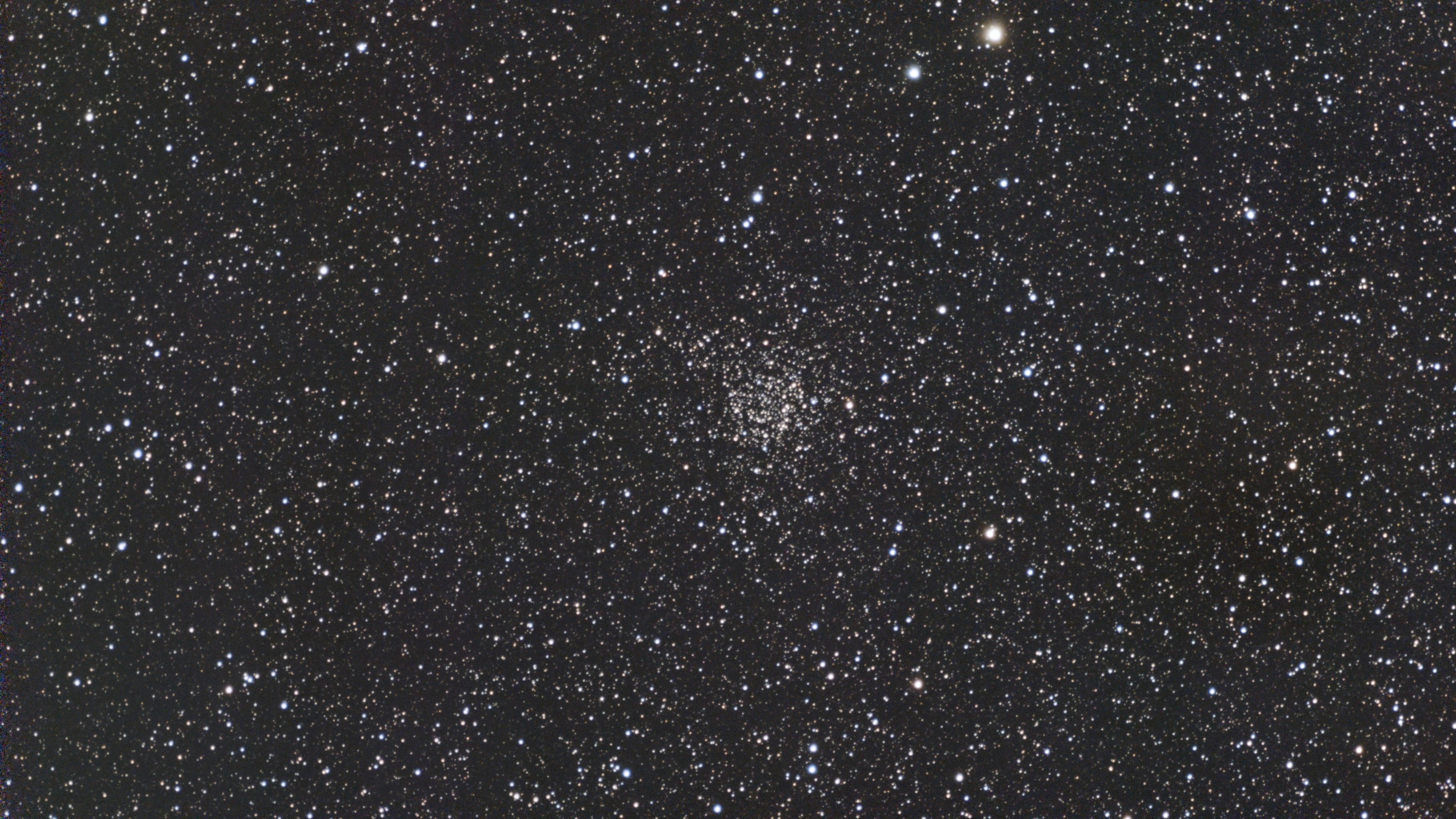 Caroline's Rose open star cluster in a dense star field, locally processed